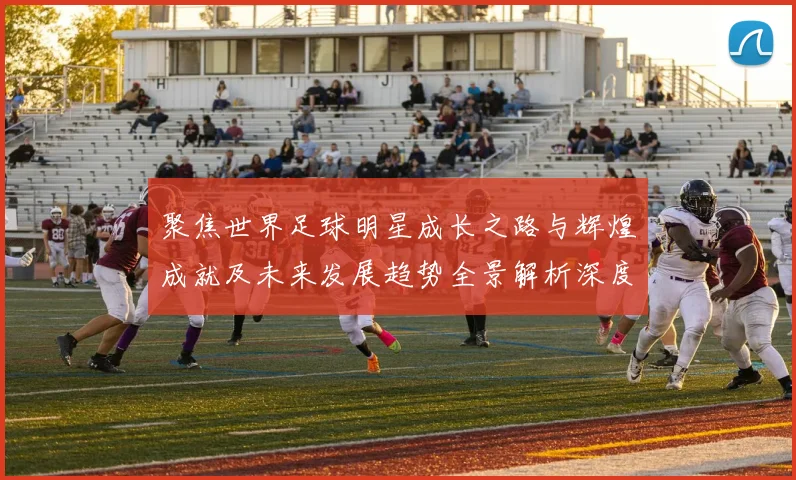 聚焦世界足球明星成长之路与辉煌成就及未来发展趋势全景解析深度