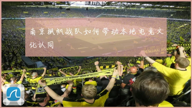 南京枫帆战队如何带动本地电竞文化认同