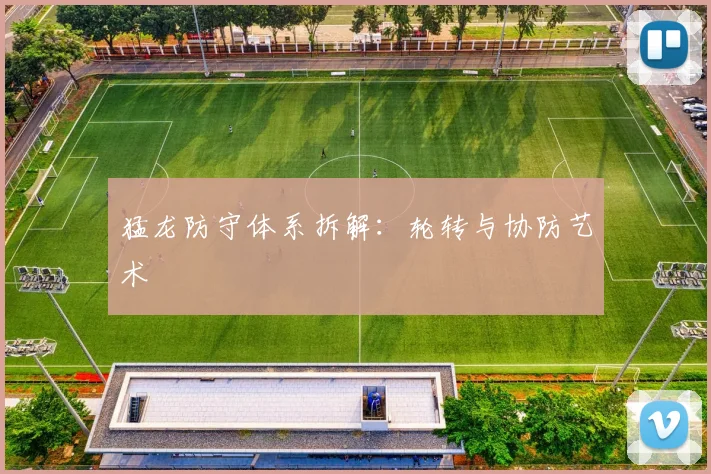 猛龙防守体系拆解：轮转与协防艺术