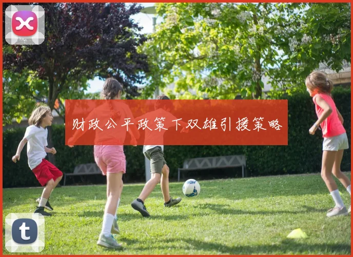 财政公平政策下双雄引援策略